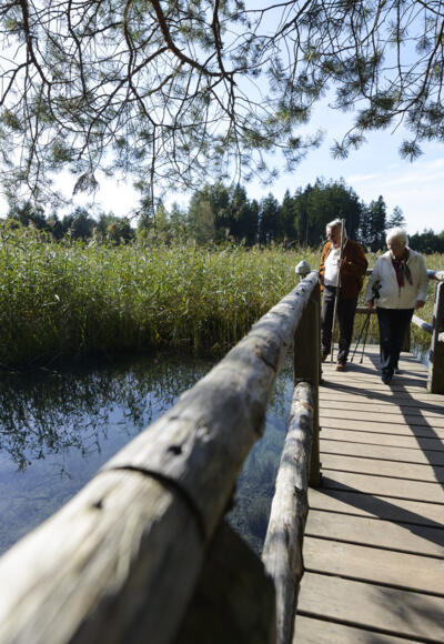 Kleiner Lauterbacher Waldweg