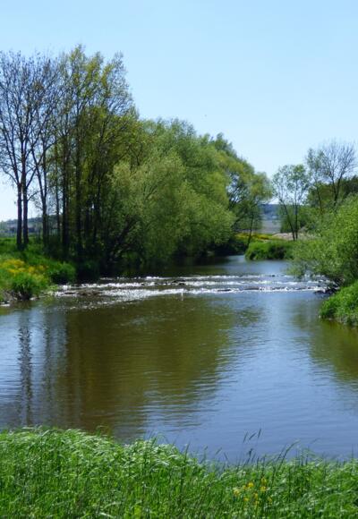 An der Rott bei Brombach