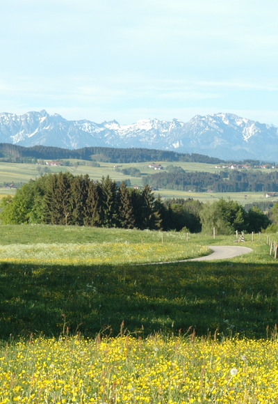 Blick in die Allgäuer Berge südlich von Krottenhill