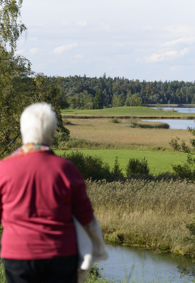 Kleiner Lauterbacher Waldweg