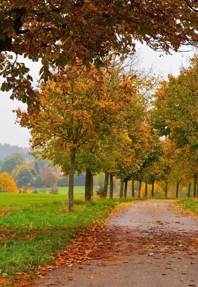 Herbst auf dem Weg zum Gut Dietlhofen in Weilheim