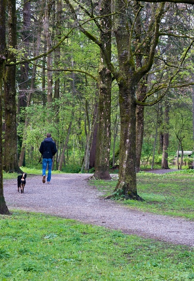 Blick in die Au Weilheim