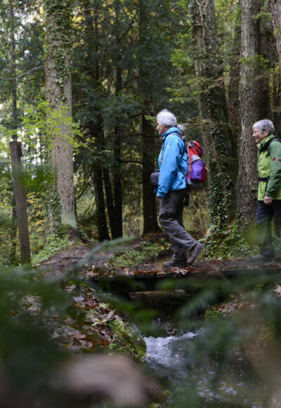 Paterzeller Eibenpfad