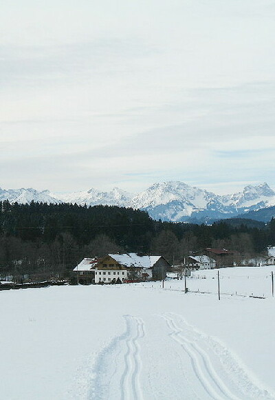 Blick auf Reuthen und die Kulisse der Thannheimer Berge