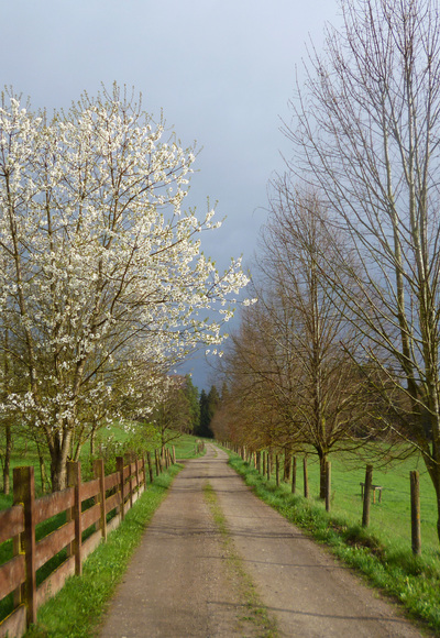 Postkarten-Idylle auf dem Weg vom Gut Schörghof in Richtung Süden.