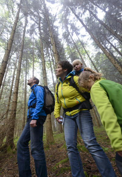 Wald- und Weiherschleife