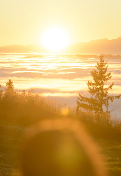 Jakobsweg Etappe 5: Lechbruck - Auerberg