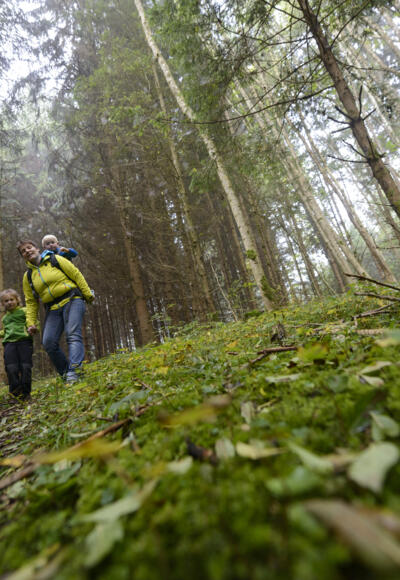 Stadt- und Waldrunde