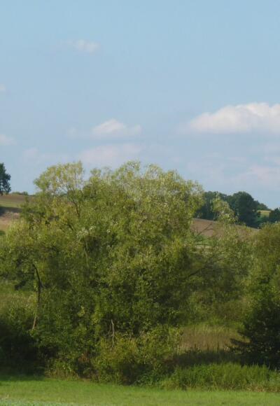 Am idyllischen Sulzbachtal 