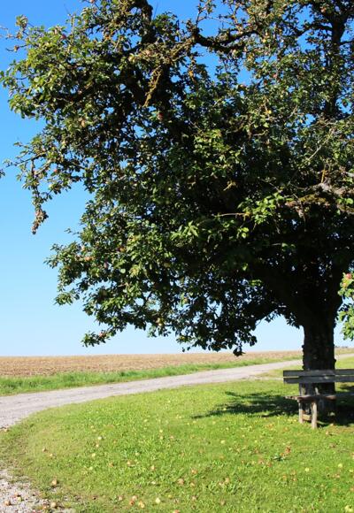 Ausblick auf der Tour