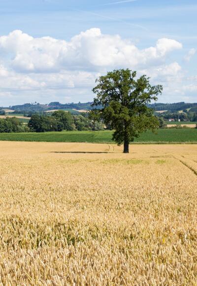 Ausschnitt auf der Tour
