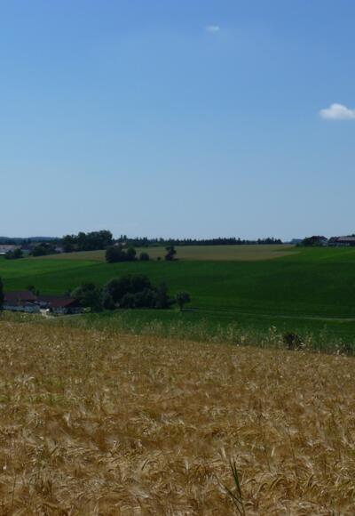 Blick ins Apfelbachtal