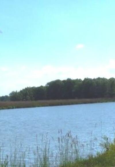 Blick auf den Inn bei Ering