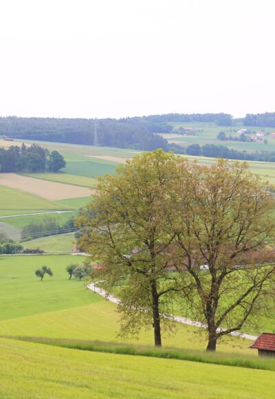 Ausblick auf der Tour