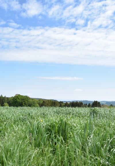 Landschaftliche Ausblicke in Fürstberg