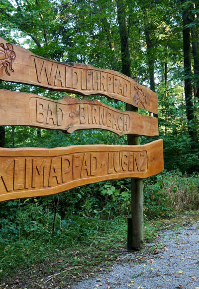 Beginn des Klimapfades