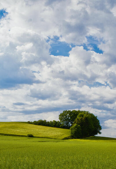 Ausschnitt aus der Tour