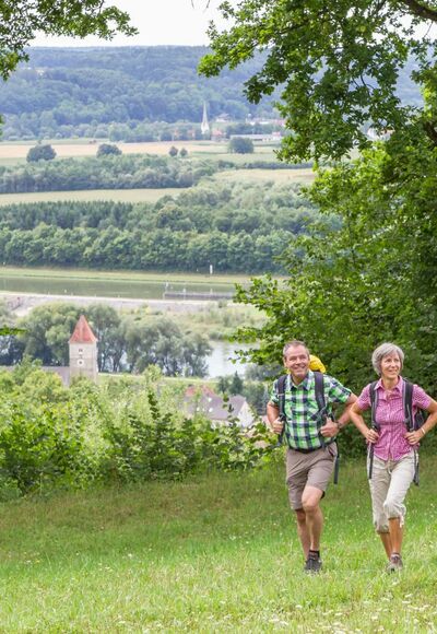 Oberndorfer Hänge bei Bad Abbach