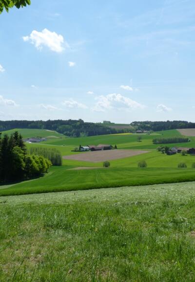 Blick ins Einbachtal