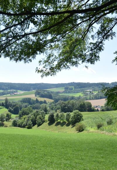 Landschaft Ering Tour 13