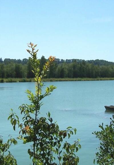 Am Inndamm am Europareservat Unterer Inn