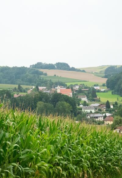 Landschaft mit Blick auf die Kirche in Münchham