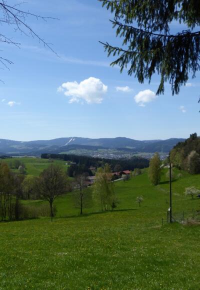 Blick auf Viechtach und den Pröller