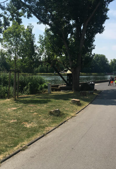 Schleifenroute - Schweinfurt der Radweg führt direkt am Main entlang