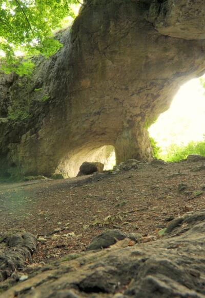 Aussichtspunkt Hohler Fels oberhalb vom Happurger Stausee