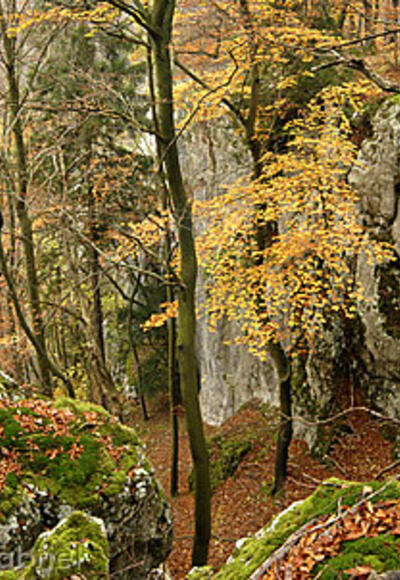 Naturschutzgebiet Weltenburger Enge