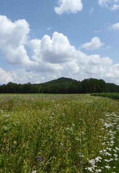 Blick auf den Staufer Berg