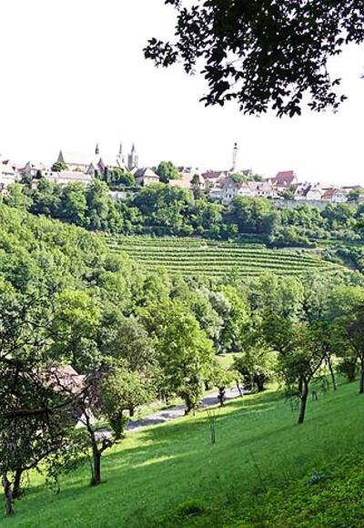 Blick über Obstbaumwiesen hinüber zur alten Reichsstadt