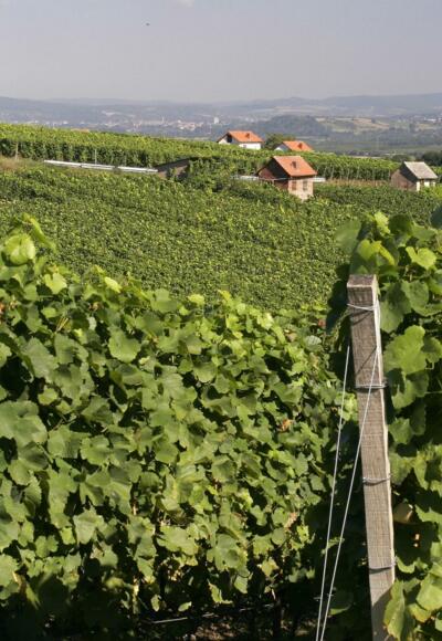 Etappe 1 von Großwallstadt nach Großostheim