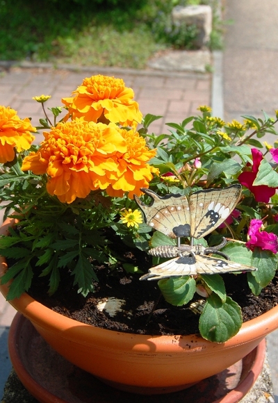 aufmunternder Etappenstart