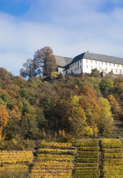 Etappe 5 von Klingenberg nach Großheubach