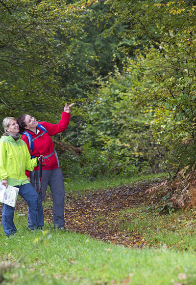 Wandern im RÄUBERLAND