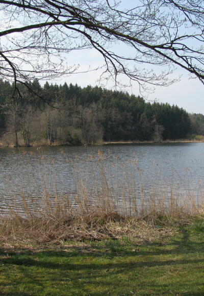 Schleifenroute - Vogt: Holzmühlweiher