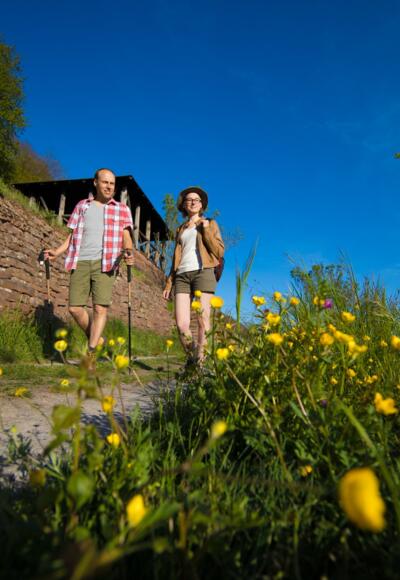 Etappe 6 von Großheubach nach Bürgstadt