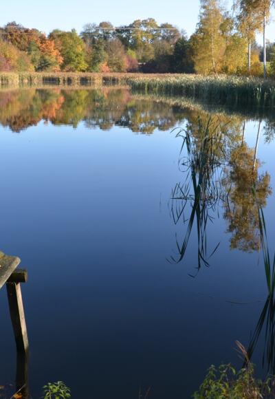 Weiher bei Dinkelsbühl