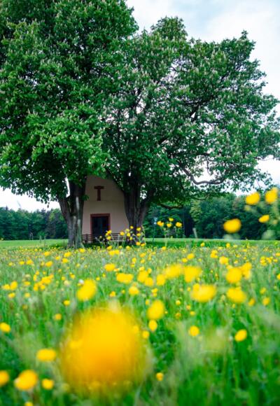 Kapelle Herrenbild Mespelbrunn