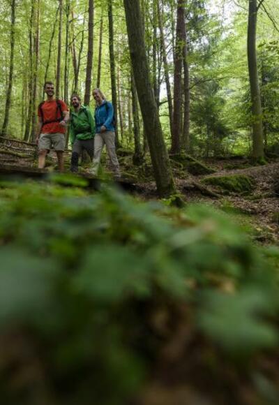 auf dem "Alten Schulweg"