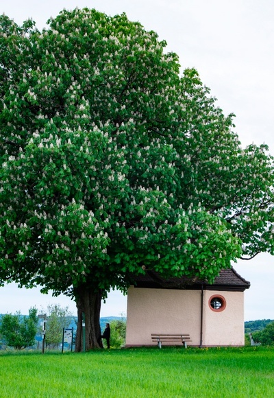 Kapelle Herrenbild Mespelbrunn