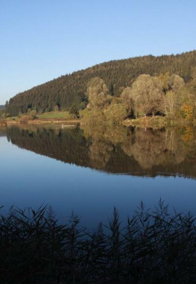 Der idyllische Herrenwieser Weiher