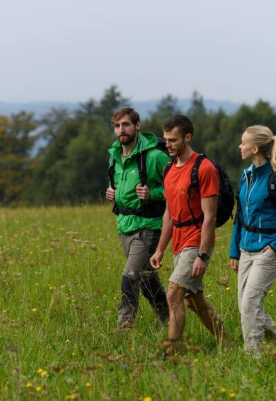 Wandern über Wiesen und durch märchenhafte Wälder im Spessart