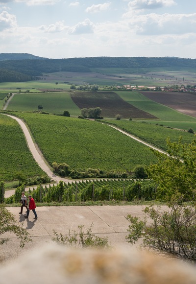 Der Frankenblick - einfach schön!