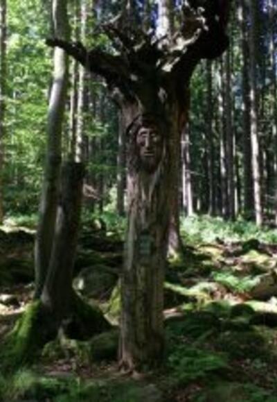 auf den "Alten Schulweg"