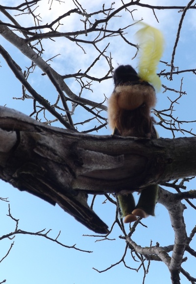 Räuberhannes begrüßt die Wanderer