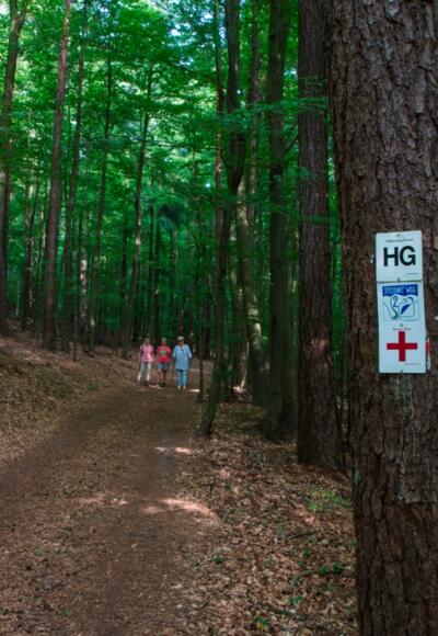 Wandern im RÄUBERLAND