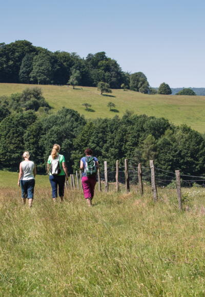 Landschaft Rothenbuch