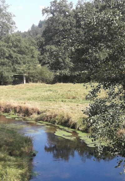 Blick ins Hafenlohrtal